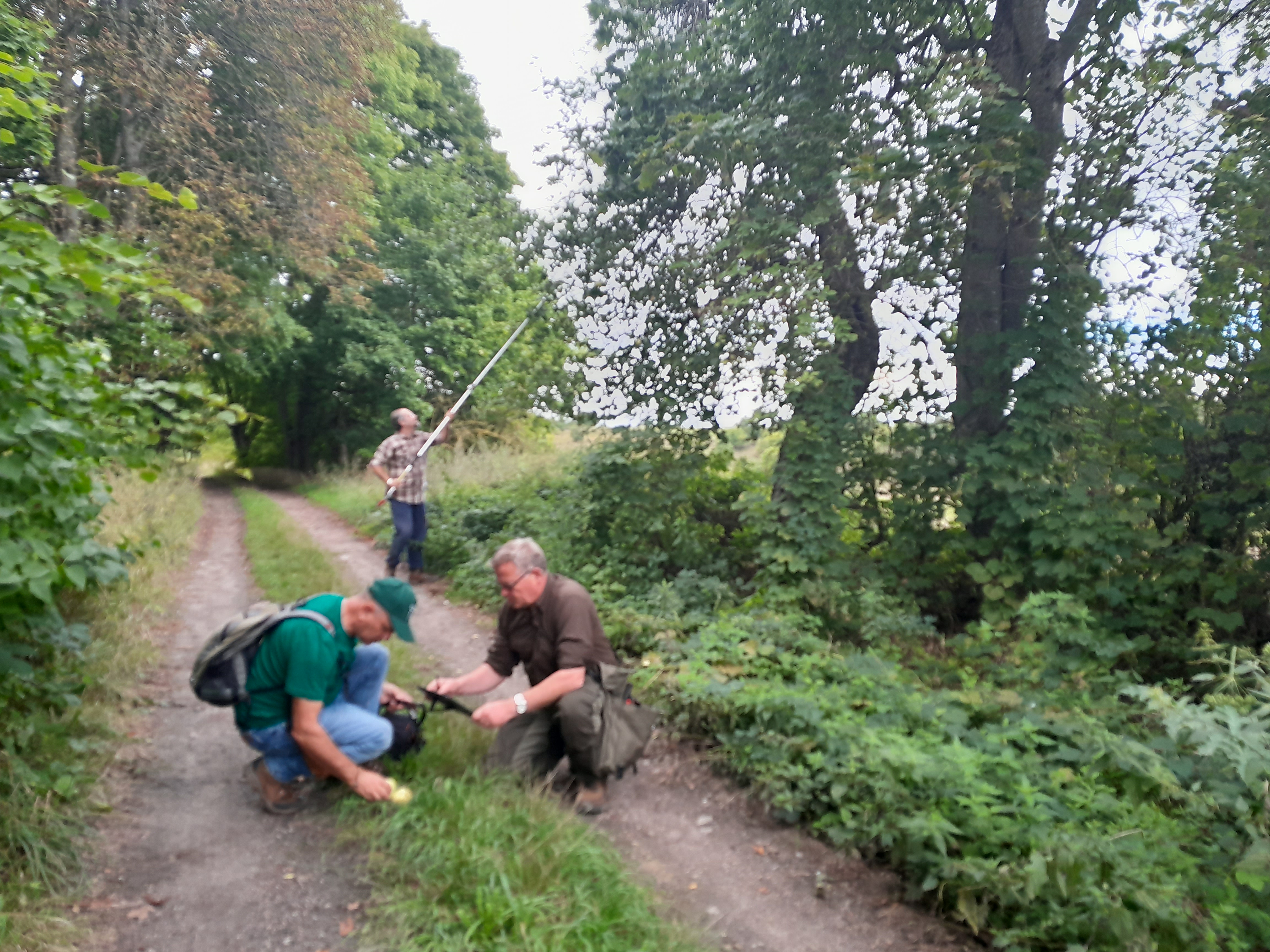 Fotografia przedstawia członków ekspedycji terenowej we wrześniu 2022 r. przy pracy nad katalogowaniem odnalezionych odmian jabłoni