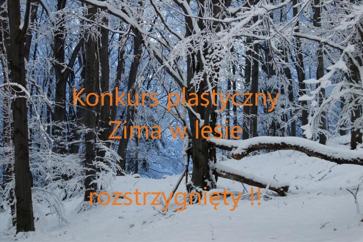 Rozstrzygnięcie&#x20;konkursu&#x20;&#x22;Zima&#x20;w&#x20;lesie&#x20;&#x22;-&#x20;fot&#x2e;&#x20;LP