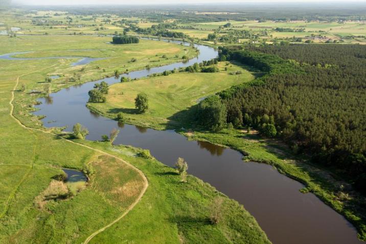 Obszar&#x20;Chronionego&#x20;Krajobrazu&#x20;4&#x20;-&#x20;Dolina&#x20;Warty&#x20;i&#x20;Dolnej&#x20;Noteci&#x20;&#x28;fot&#x2e;&#x20;M&#x2e;&#x20;Tomczak&#x29;