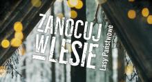 Łatwiej zanocujesz na dziko w Lasach Państwowych