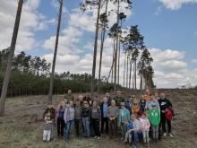ODNAWIANIE LASU Z SAMORZĄDOWCAMI ZE STARGARDU