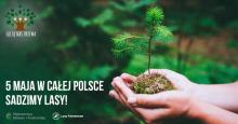 5 maja w Resku sadzimy drzewa