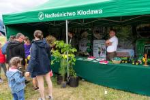 Nadleśnictwo Kłodawa na Majówce Kłodawskiej