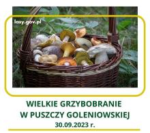 Wielkie Grzybobranie w Puszczy Goleniowskiej 30.09.2023r.