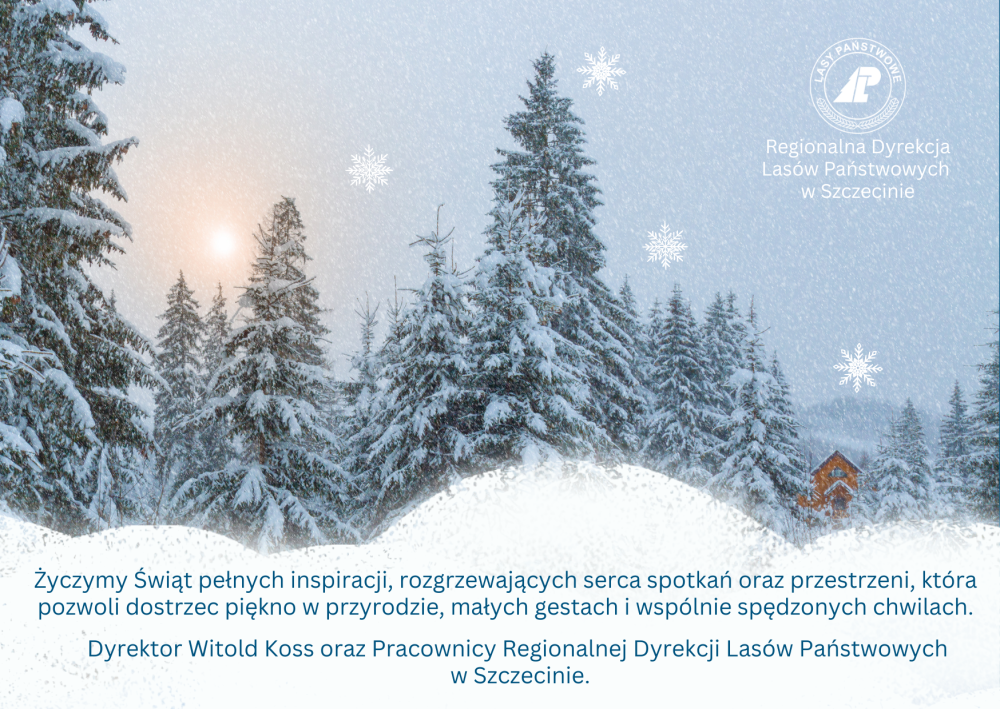 Ryc.1. Kartka z życzeniami z okazji Świąt Bożego Narodzenia/ projekt: Regionalna Dyrekcja Lasów Państwowych w Szczecinie