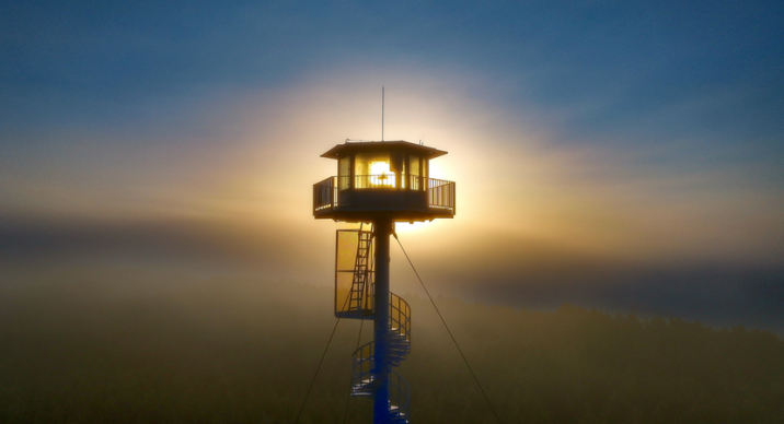 Fot. Wiesław Płachciński/ źródło: Lasy Państwowe