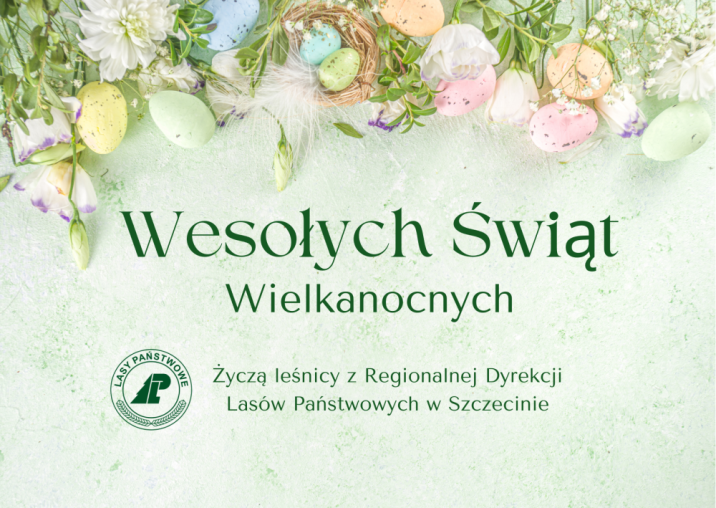 Kartka z życzeniami z okazji Świąt Wielkanocnych/ projekt Canva