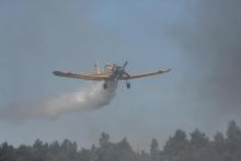 Pożary. Bądź ostrożny odwiedzając lasy!